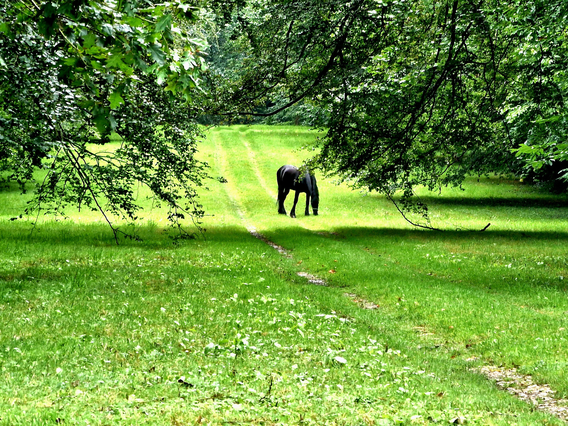 Photos Château de Kerouartz